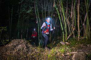 BIB: 
                            <button type="button" onclick="openModal(6949625)" class="btn btn-primary btn-sm float-right btn-popup" data-toggle="modal" data-target=".modal-high-quality">
                        <i class="fas fa-shopping-cart"></i> Add to Cart
                    </button>
                                            <button type="button" onclick="isThisMe(6949625, true)" class="btn btn-success btn-sm float-right btn-popup btn-isme hidden" data-toggle="tooltip" data-placement="bottom" title="นี่คือรูปของคุณใช่ไหม คลิกที่นี่เพื่อเอาเข้าอัลบั้ม">
                        <i class="fas fa-plus"></i> Add to album
                    </button>
                    <button type="button" onclick="isThisMe(6949625, false)" class="btn btn-warning btn-sm float-right btn-popup btn-isnotme hidden">
                        <i class="fas fa-ban"></i> Remove from album
                    </button>